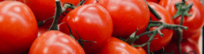 Tomato Revolution: bio, solidale e caporalato free