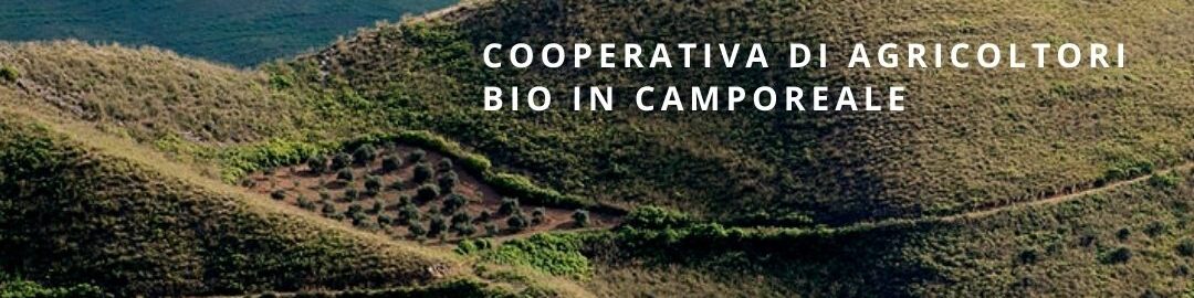 Prodotti della cooperativa Valdibella